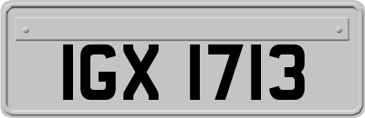 IGX1713