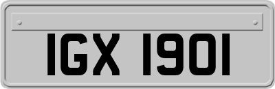 IGX1901