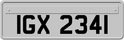 IGX2341