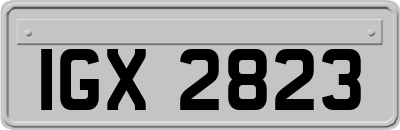IGX2823