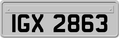 IGX2863