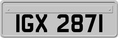 IGX2871
