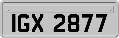 IGX2877