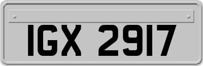 IGX2917