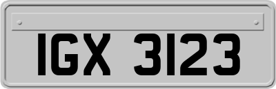 IGX3123