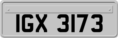 IGX3173