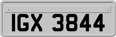 IGX3844