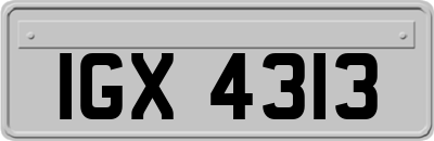 IGX4313