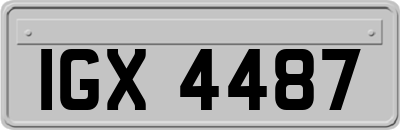 IGX4487