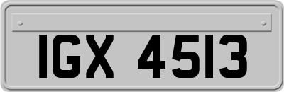 IGX4513