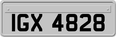 IGX4828