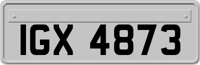 IGX4873