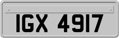 IGX4917