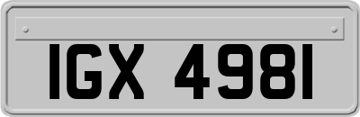 IGX4981