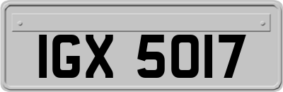 IGX5017