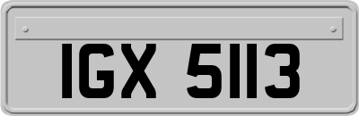 IGX5113