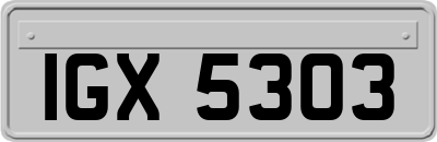 IGX5303
