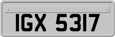 IGX5317