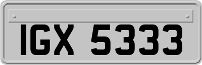 IGX5333