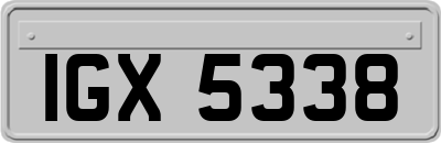 IGX5338
