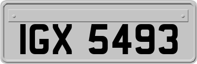 IGX5493