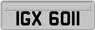 IGX6011