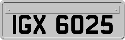IGX6025