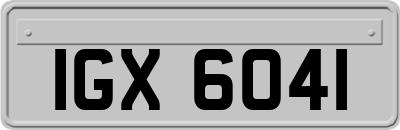 IGX6041