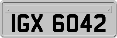 IGX6042
