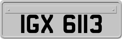 IGX6113
