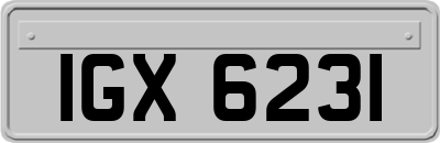 IGX6231