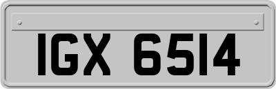 IGX6514