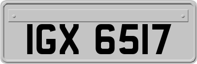 IGX6517