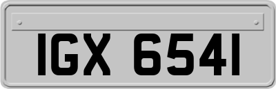 IGX6541