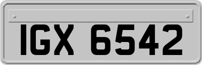 IGX6542