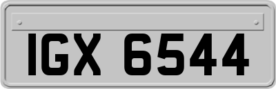 IGX6544