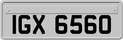 IGX6560