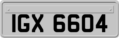 IGX6604