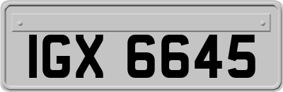 IGX6645