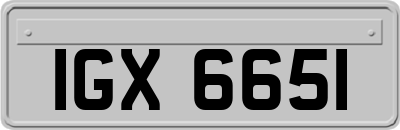 IGX6651