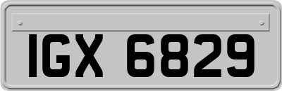 IGX6829