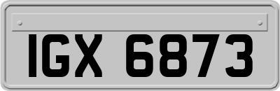 IGX6873