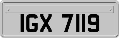 IGX7119