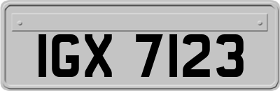 IGX7123