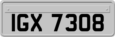 IGX7308