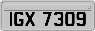 IGX7309