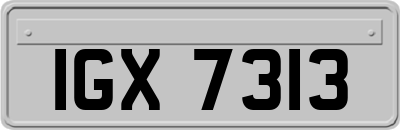 IGX7313