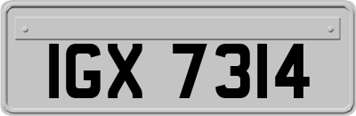 IGX7314