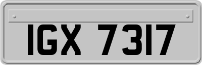 IGX7317