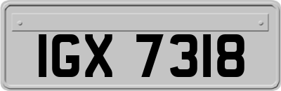 IGX7318